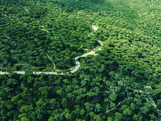 From Beirut: Sidon, Mleeta and Jezzine Waterfall Guided Tour