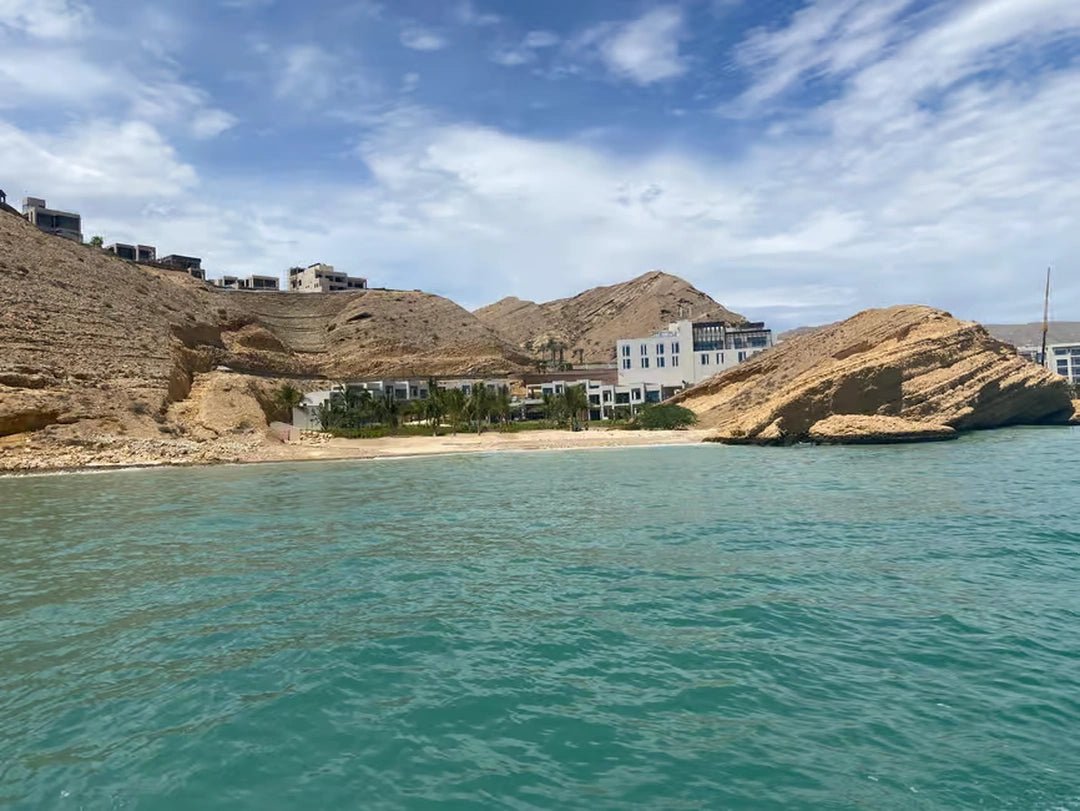 Muscat: 2 - hours Dolphin Watching Boat Tour