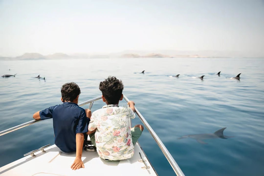 Muscat: 2 - hours Dolphin Watching Boat Tour