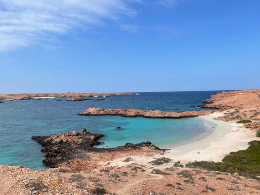 Muscat: Daymaniat Islands Snorkeling Trip