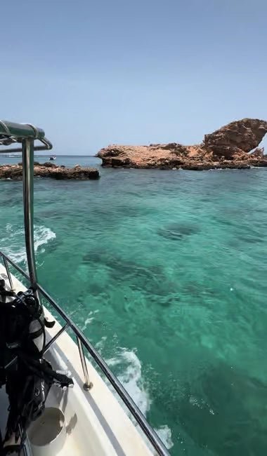 Muscat: Daymaniyat Islands Dolphin Watching and Snorkeling Tour