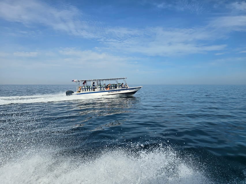 Muscat: Daymaniyat Islands Scuba Diving Trip