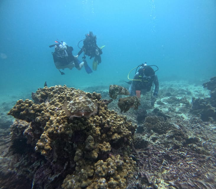 Muscat: Daymaniyat Islands Try Scuba Diving Trip