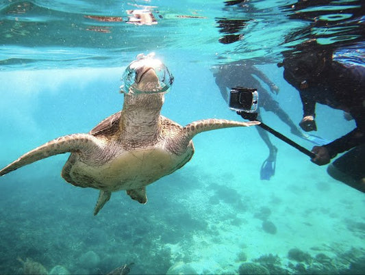 Muscat: Daymaniyat Islands Try Scuba Diving Trip