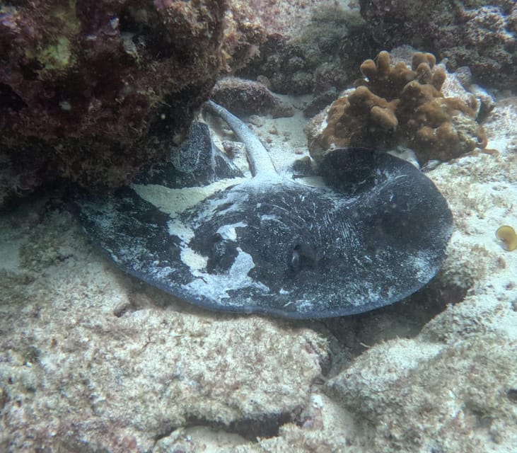 Muscat: Daymaniyat Islands Try Scuba Diving Trip