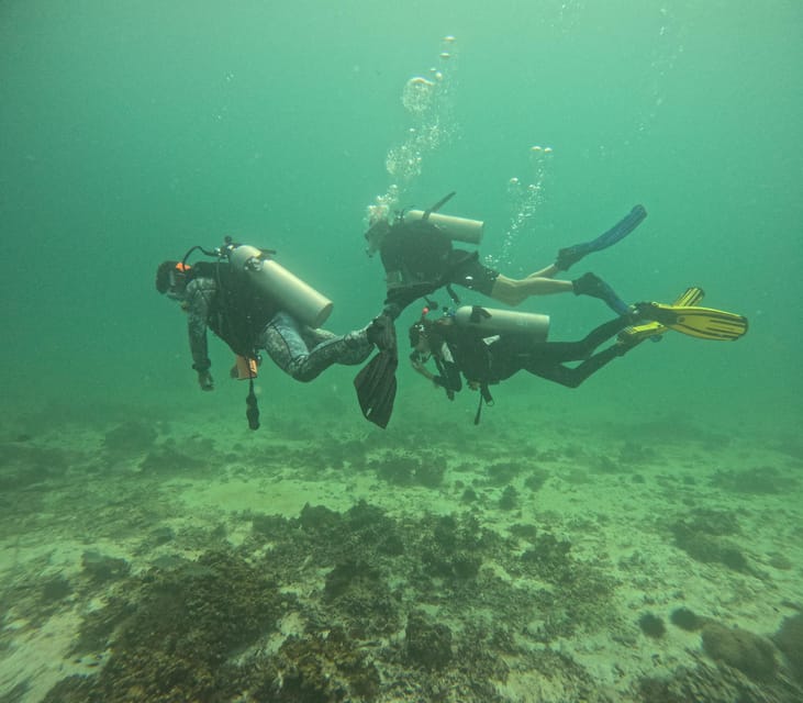 Muscat: Daymaniyat Islands Try Scuba Diving Trip