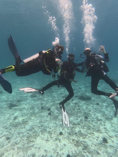 Muscat: Daymaniyat Islands Try Scuba Diving Trip