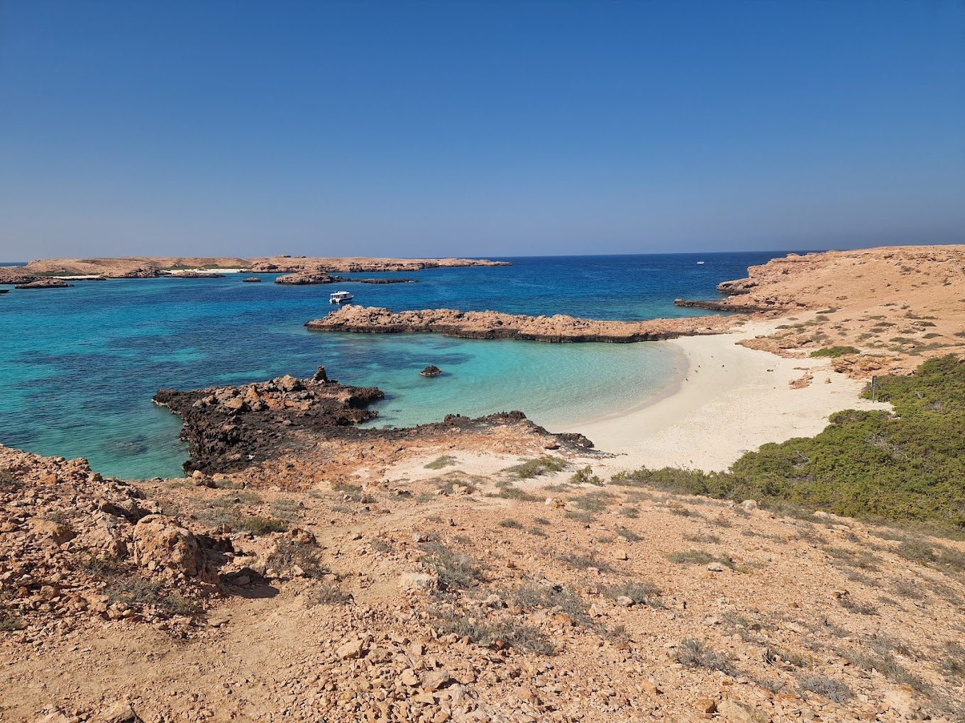 Muscat: Dimaniyat Island Snorkling Trip with Lunch