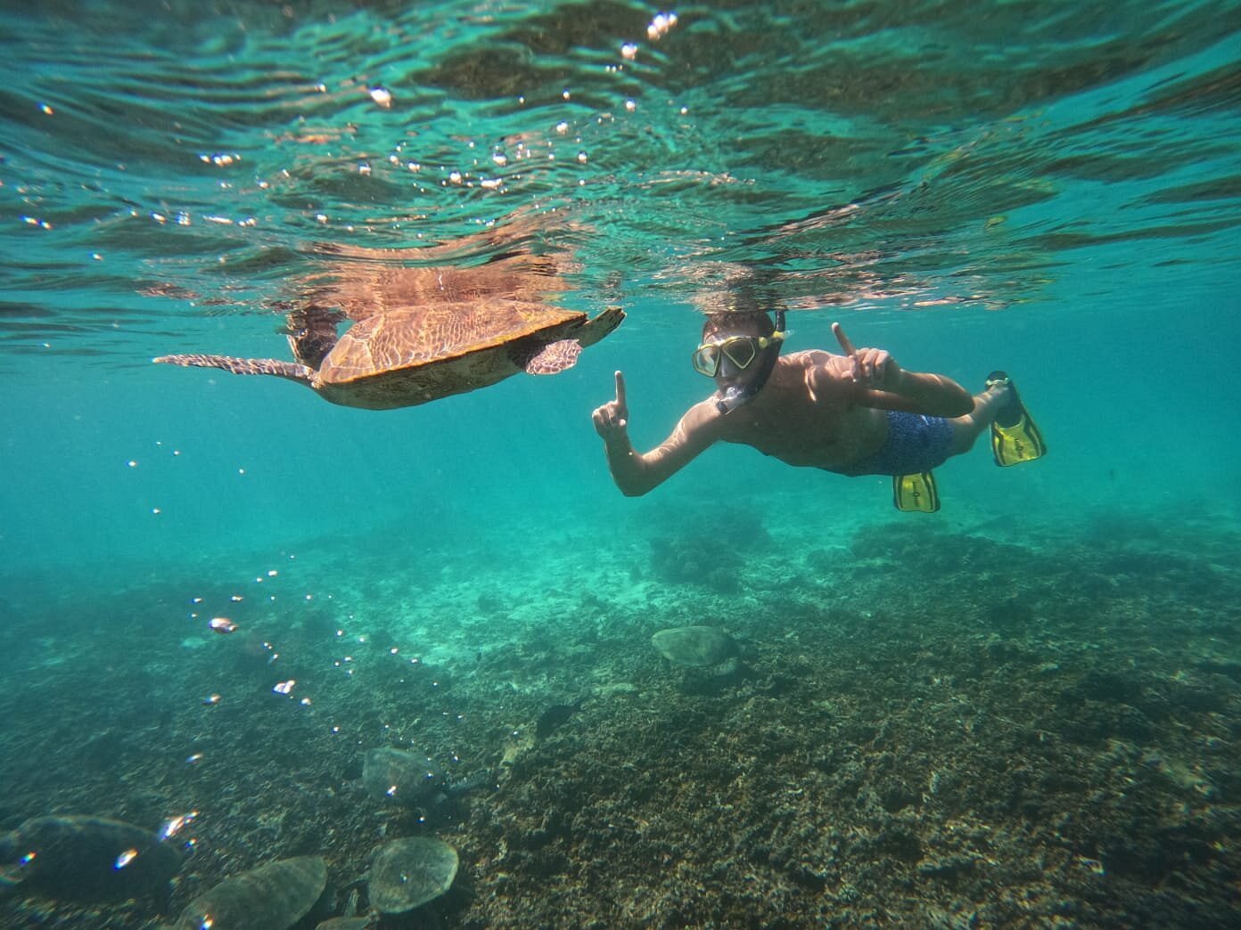 Muscat: Dimaniyat Island Snorkling Trip with Lunch