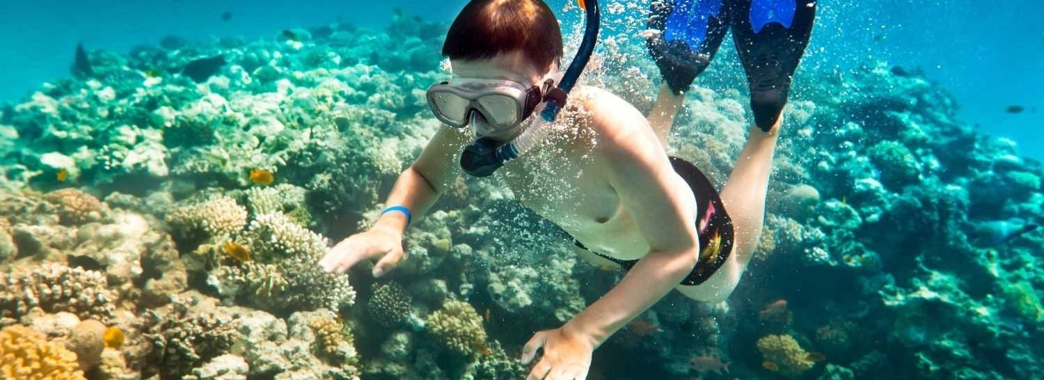 Muscat: Dimaniyat Island Snorkling Trip with Lunch