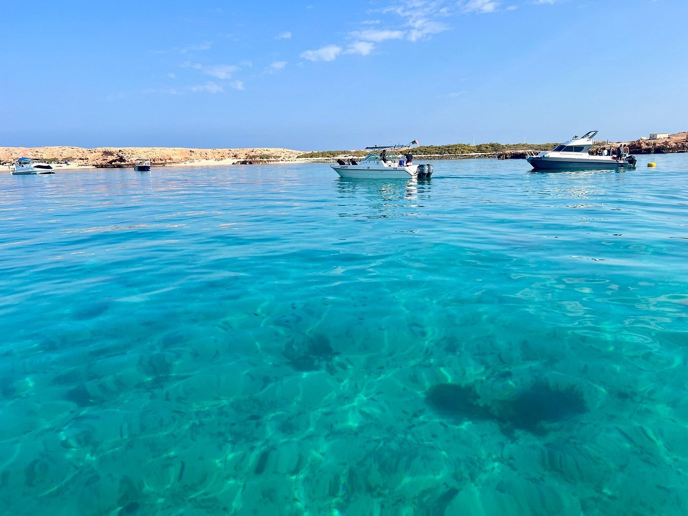 Muscat: Dimaniyat Island Snorkling Trip with Lunch