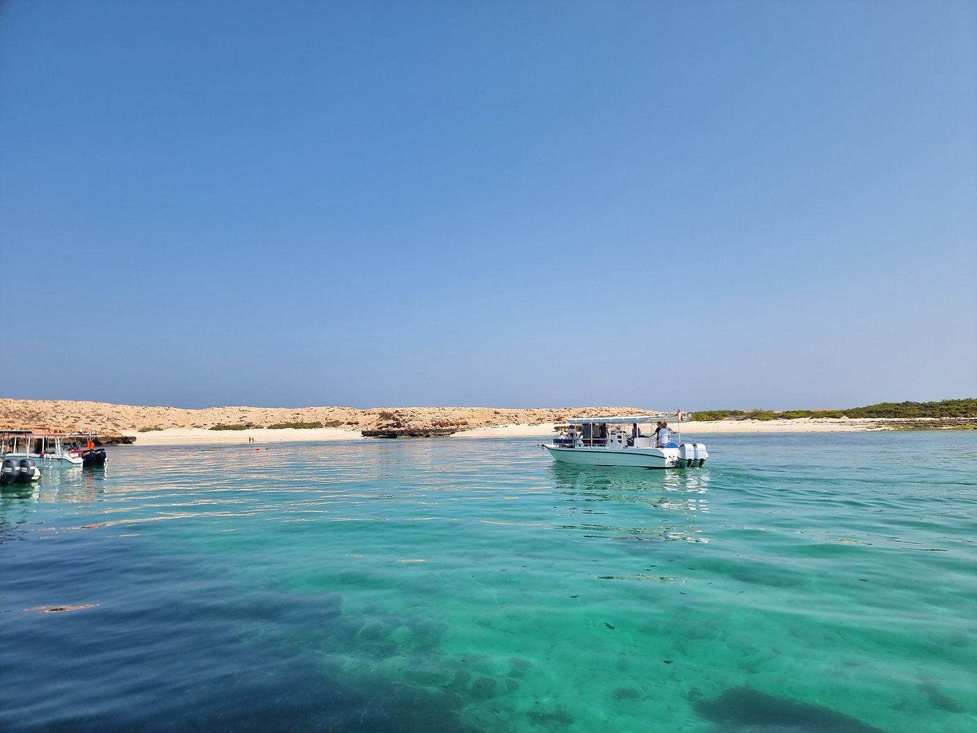 Muscat: Dimaniyat Island Snorkling Trip with Lunch