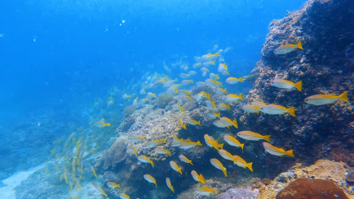 Muscat: Discover Scuba Diving Experience at Qantab Beach