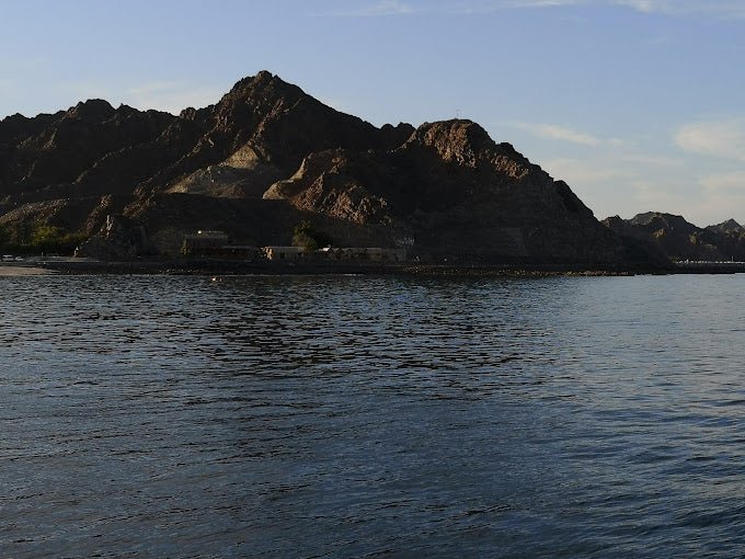 Muscat: Dolphin Watching Boat Trip with Local Guide
