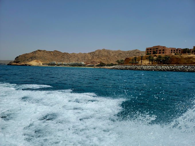 Muscat: Dolphin Watching Boat Trip with Local Guide