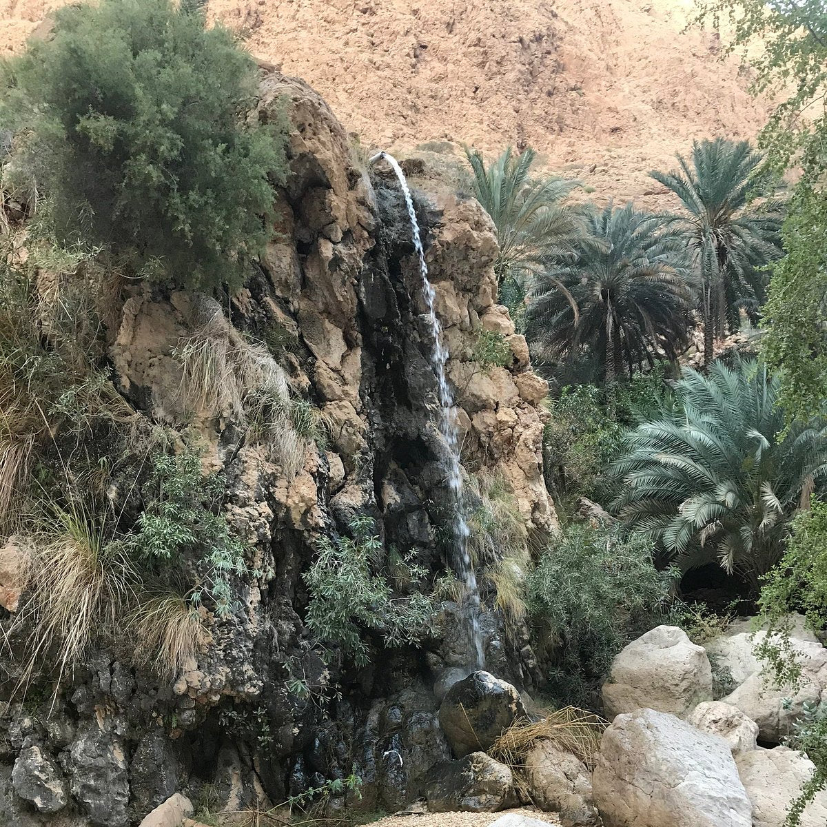 Muscat: Full Day Trip to Wadi Shab and Bimmah Sinkhole with Lunch