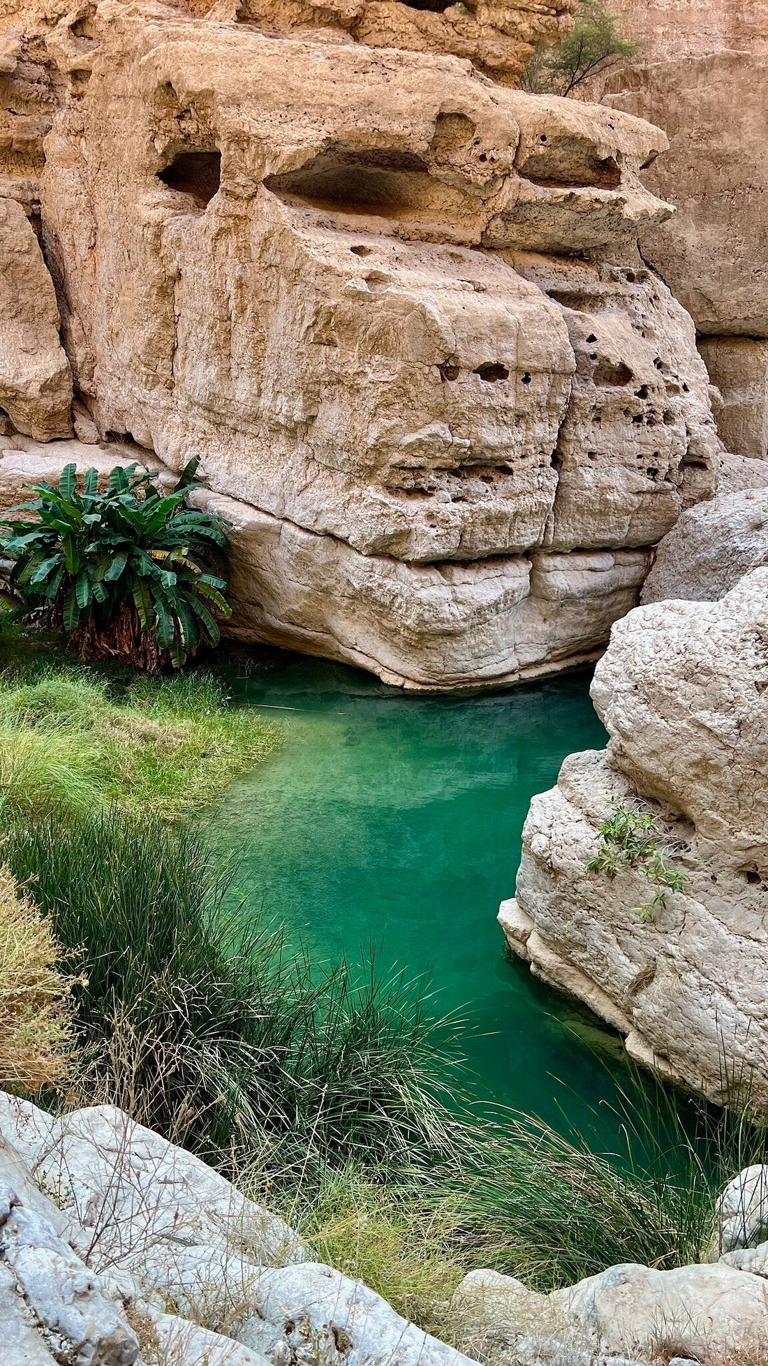 Muscat: Full Day Trip to Wadi Shab and Bimmah Sinkhole with Lunch