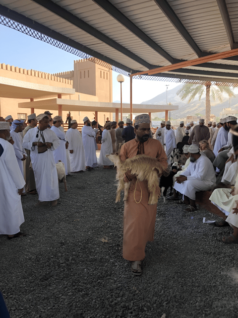 Muscat: Nizwa Fort Visit and Oman Across Ages Museum Day Tour