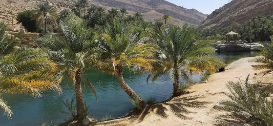 Muscat: Private 4x4 Tour to Wadi Mibam Waterfall and Bimmah Sinkhole