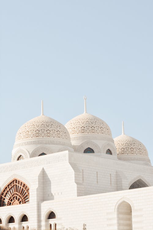 Muscat: Private Tour of Muscat City with Pickup
