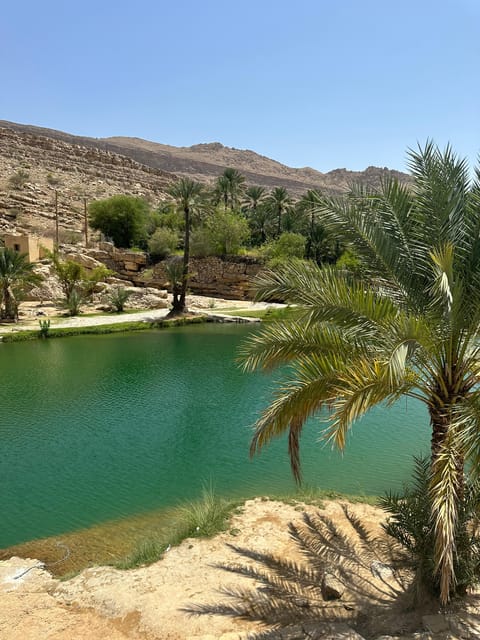 Muscat: Wadi Bani Khalid and Wahiba Desert Tour With Optional Quad Bike