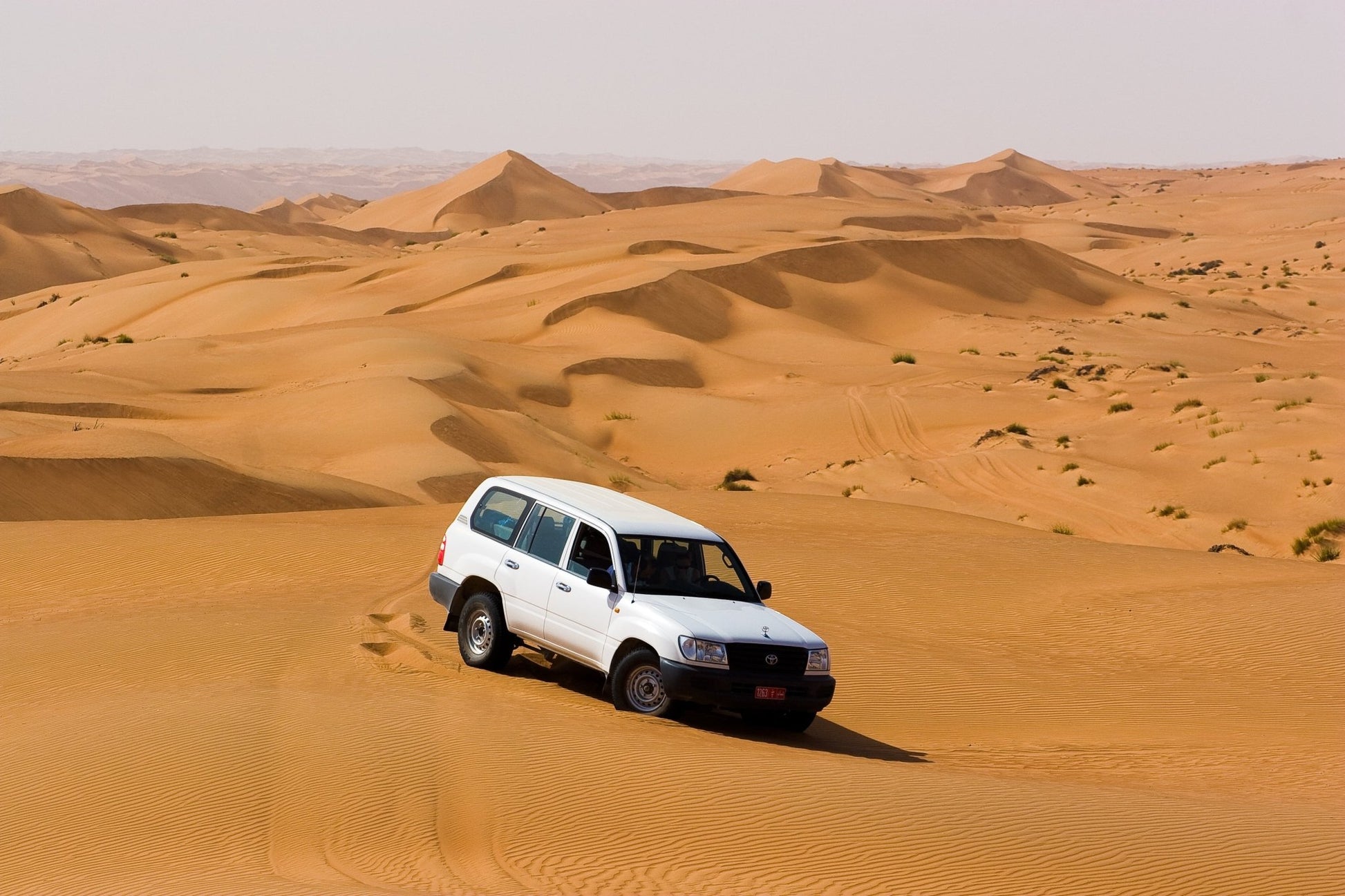 Muscat: Wadi Bani Khalid and Wahiba Sands Private Desert Safari