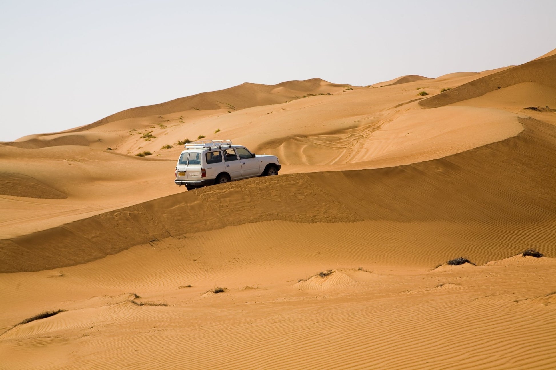 Muscat: Wadi Bani Khalid and Wahiba Sands Private Desert Safari