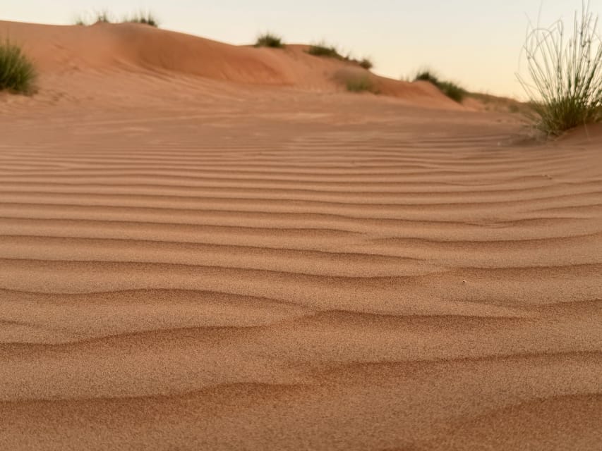 Muscat: Wadi Bani Khalid and Wahiba Sands Private Desert Safari