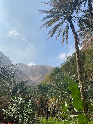 Muscat: Wahiba Sands and Wadi Bani Khalid Guided Tour