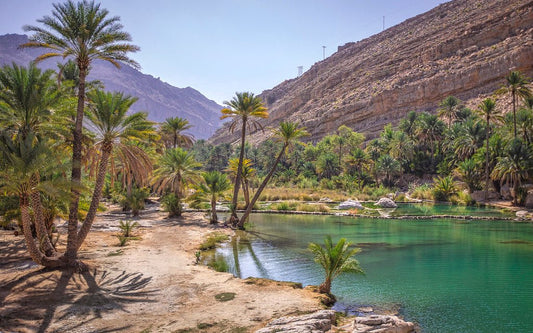 Muscat: Wahiba Sands and Wadi Bani Khalid Guided Tour