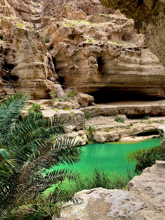 Muscat: Wahiba Sands and Wadi Bani Khalid Guided Tour