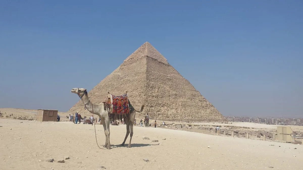 Cairo: 1-Day Guided Tour of Giza Pyramids, Sphinx and the Egyptian Museum