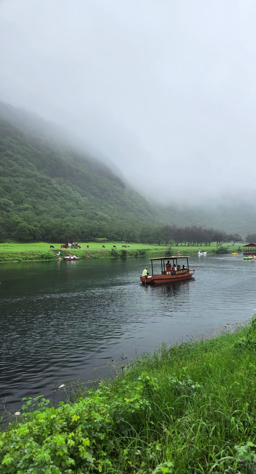 Salalah: East Coast Highlights Tour to Wadi Darbat Waterfalls and Jabal Samhan Mountain