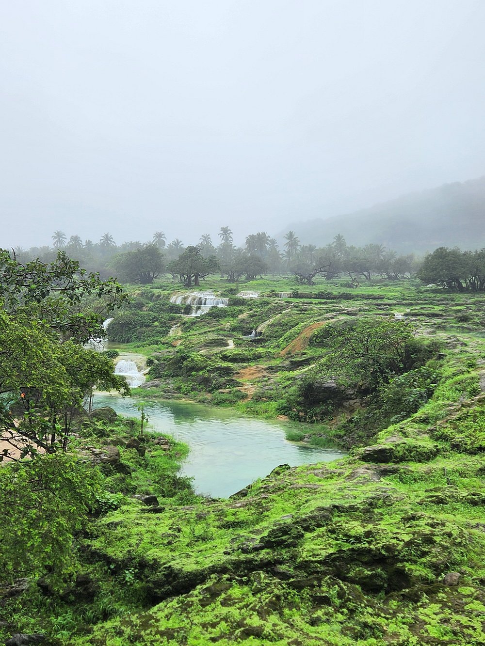 Salalah: East Coast Highlights Tour to Wadi Darbat Waterfalls and Jabal Samhan Mountain
