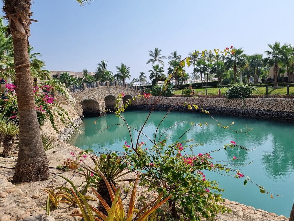Salalah: East Coast Highlights Tour to Wadi Darbat Waterfalls and Jabal Samhan Mountain