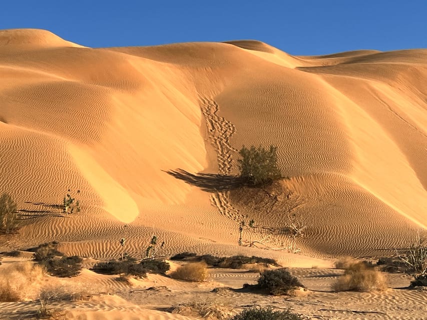 Salalah: Empty Quarter Desert Safari with Dune Bashing and Ubar Visit