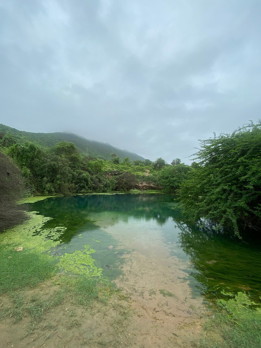 Salalah: Half - Day City Landmarks, Mountains, and Beach Private Guided Tour