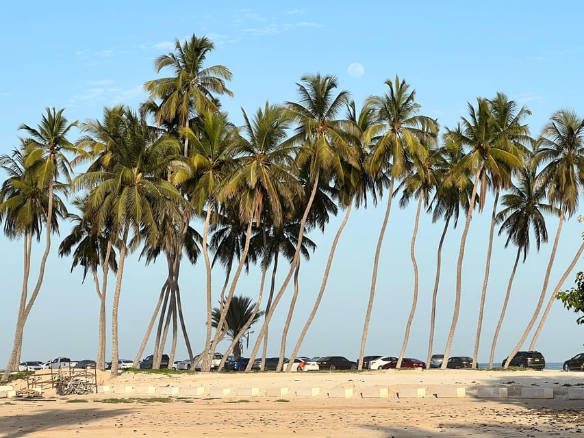 Salalah: Half - Day City Landmarks, Mountains, and Beach Private Guided Tour