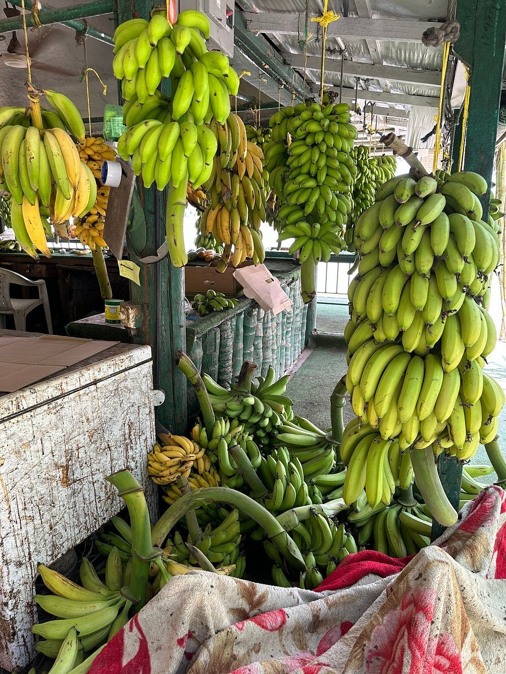 Salalah: Half - Day City Landmarks, Mountains, and Beach Private Guided Tour