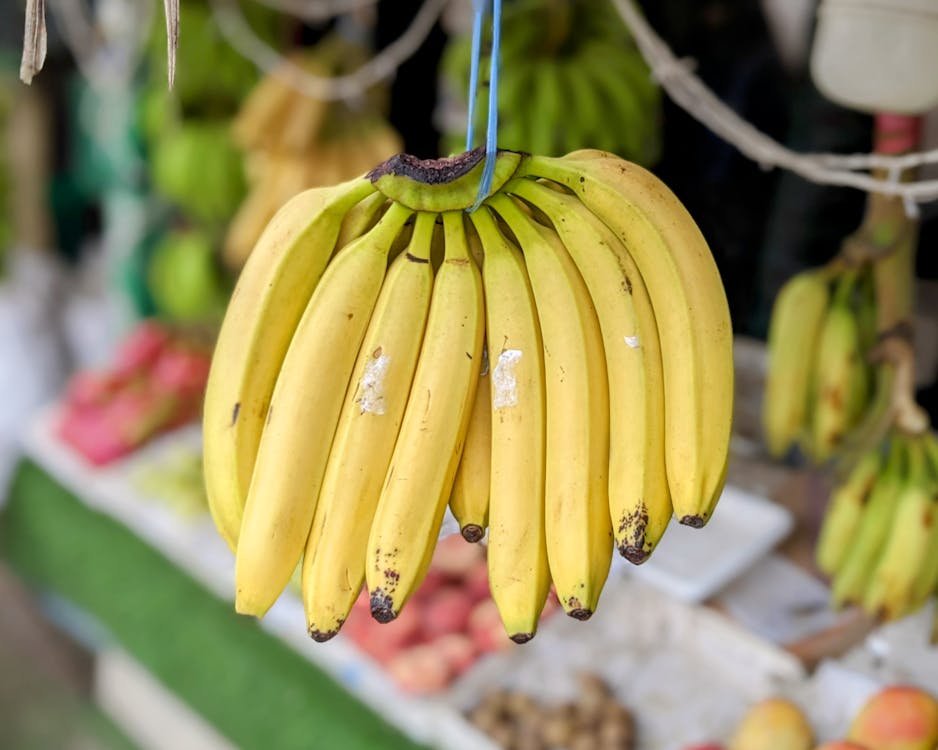 Salalah: Half - Day City Tour with Mosque, Markets, and Museum Visit