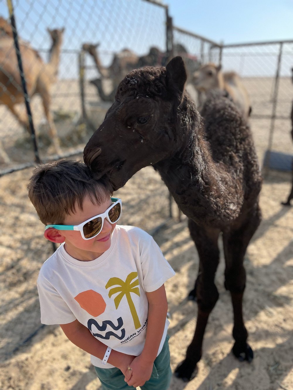 Salalah: Overnight Desert Camping Experience at Empty Quarter Rub al Khali
