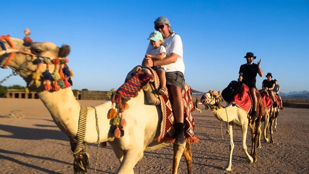 Hurghada: Stargazing Desert Trip by 4x4 Jeep & Dinner