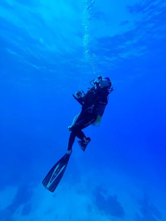 Sharm El Sheikh: 2 - Hours Night Dive in Ras Mohamed