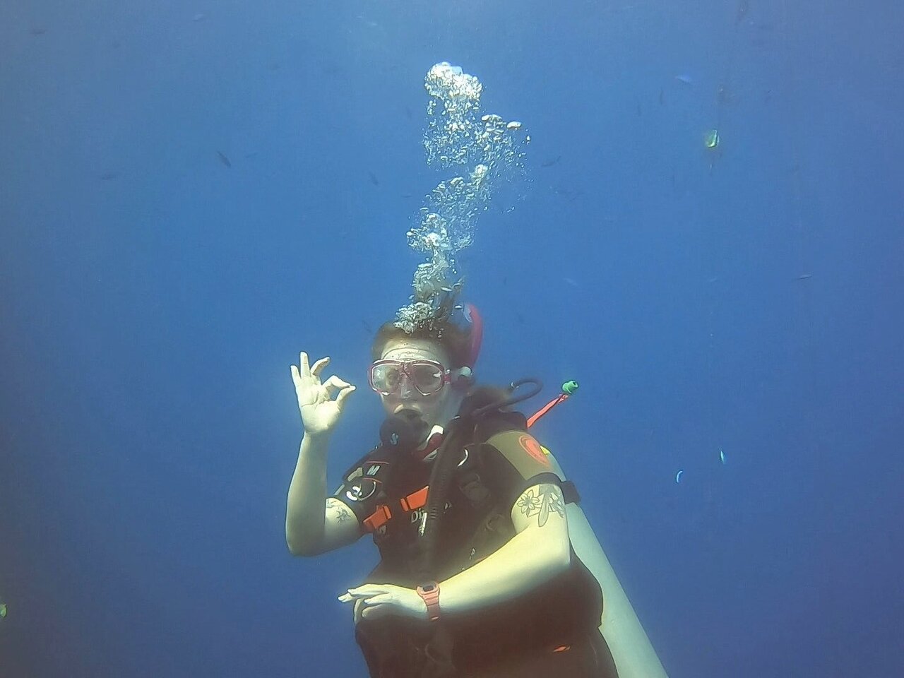 Sharm El Sheikh: 3 - Day Course for PADI Open Water Diver Certification