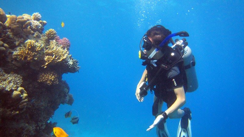Sharm El Sheikh: Advanced Open Water Diving Course