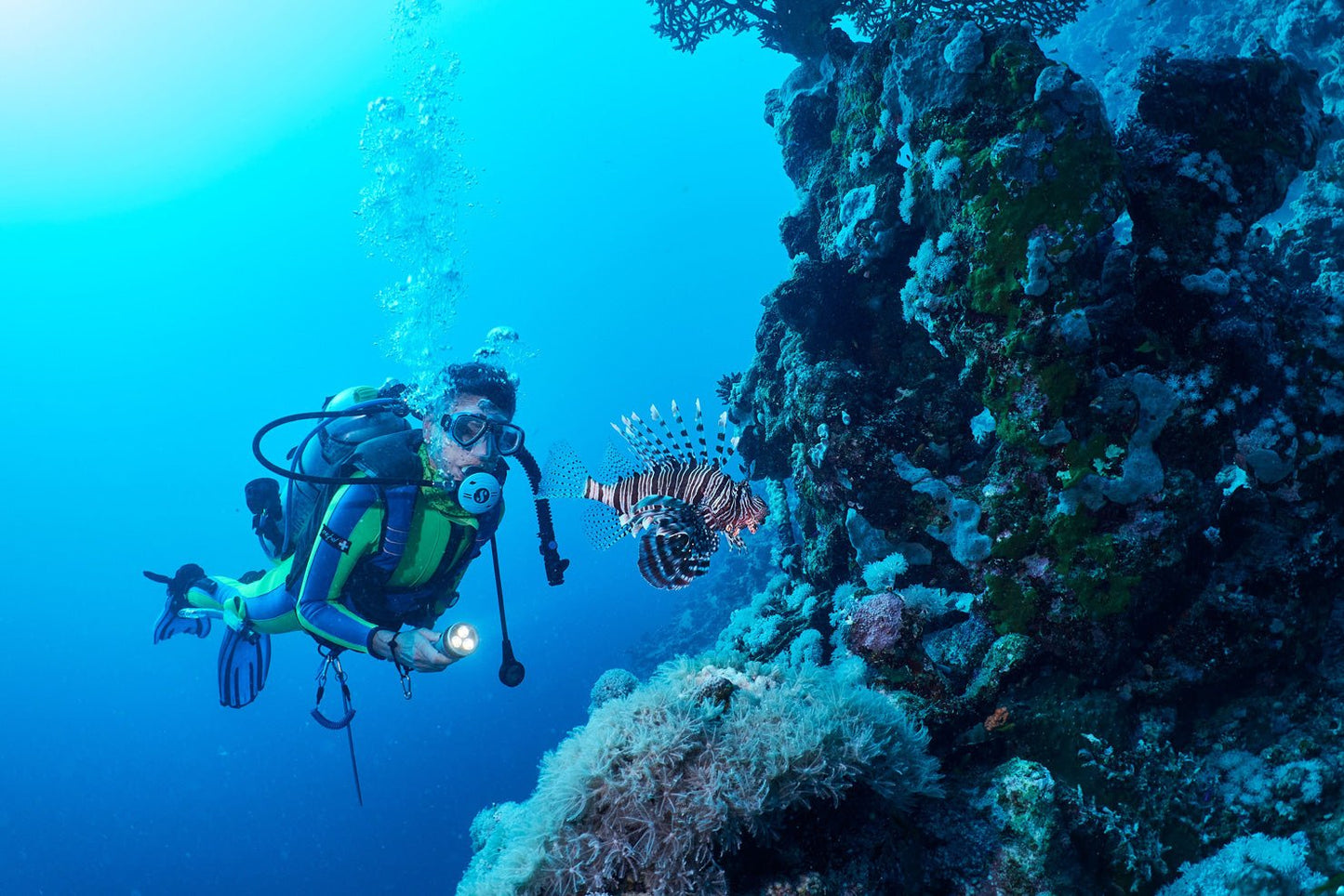 Sharm El Sheikh: Advanced Open Water Diving Course