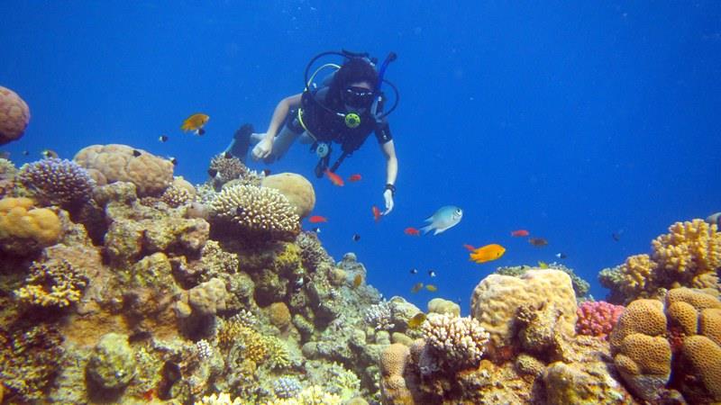 Sharm El Sheikh: Advanced Open Water Diving Course