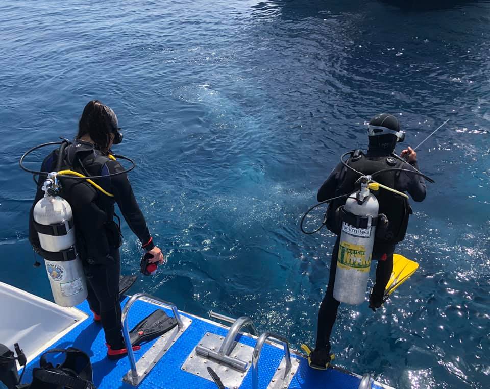 Sharm El Sheikh: Advanced Open Water Diving Course