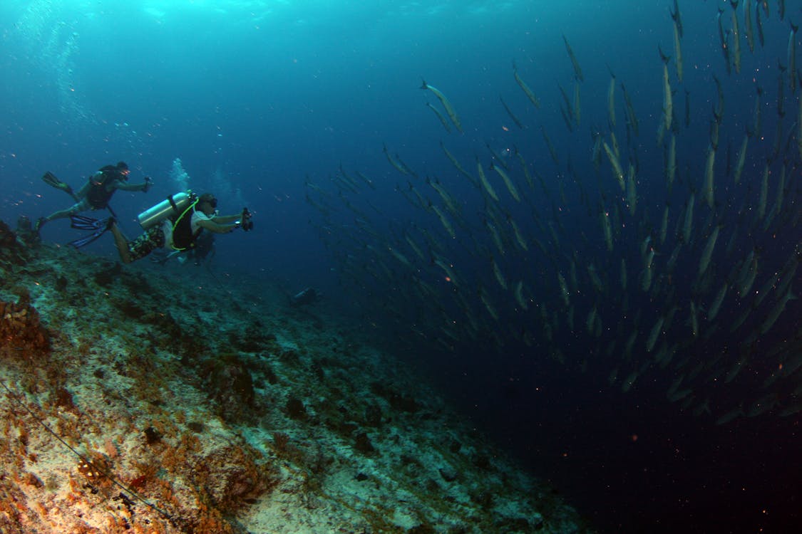 Sharm El Sheikh: Amphora Reef Shore Diving for Certified Divers