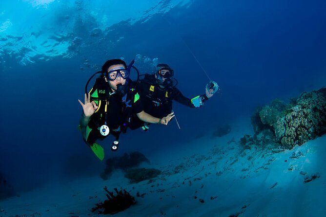 Sharm El Sheikh: Discover Scuba Diving Full - Day PADI Program